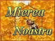 Miere naturala pentru copii !