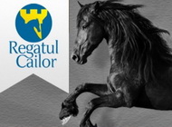 RegatulCailor