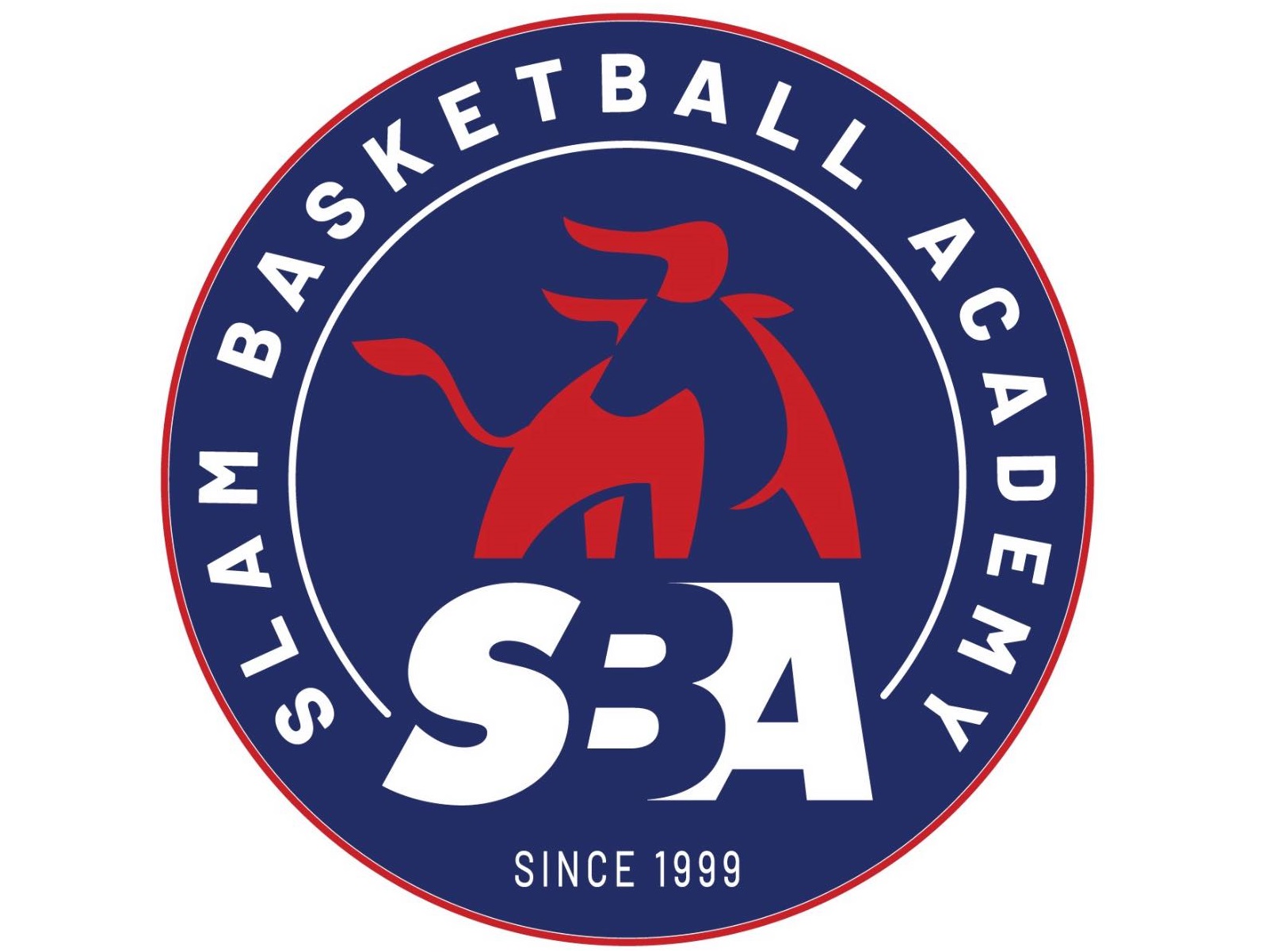 Slam Basketball Academy - Baschet pentru Copii